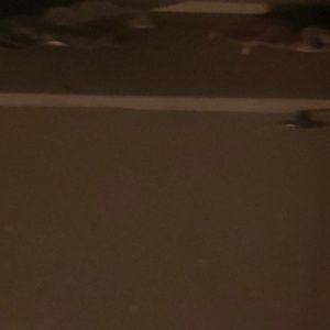 Meet your Posher, Payton